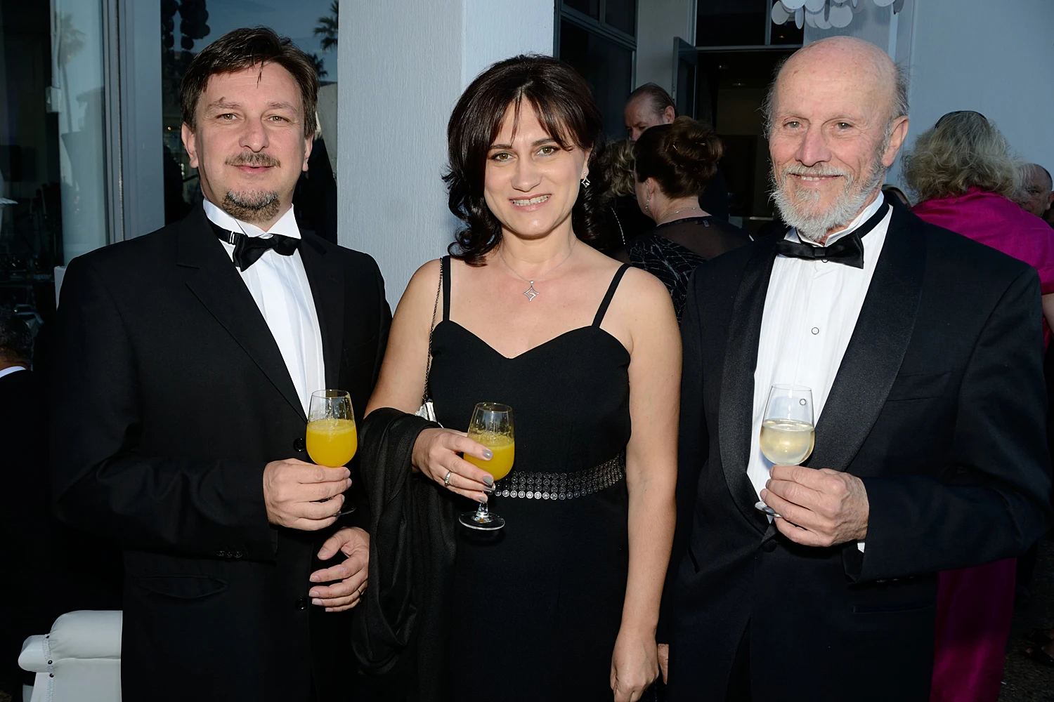 The 2012 Consular Ball — photo 10_66