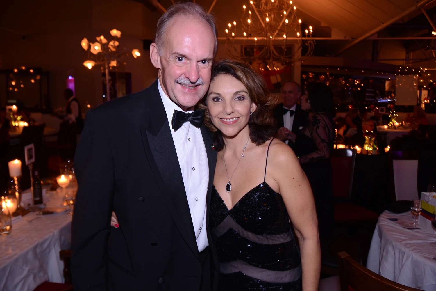 The 2014 Consular Ball — photo 49_2315