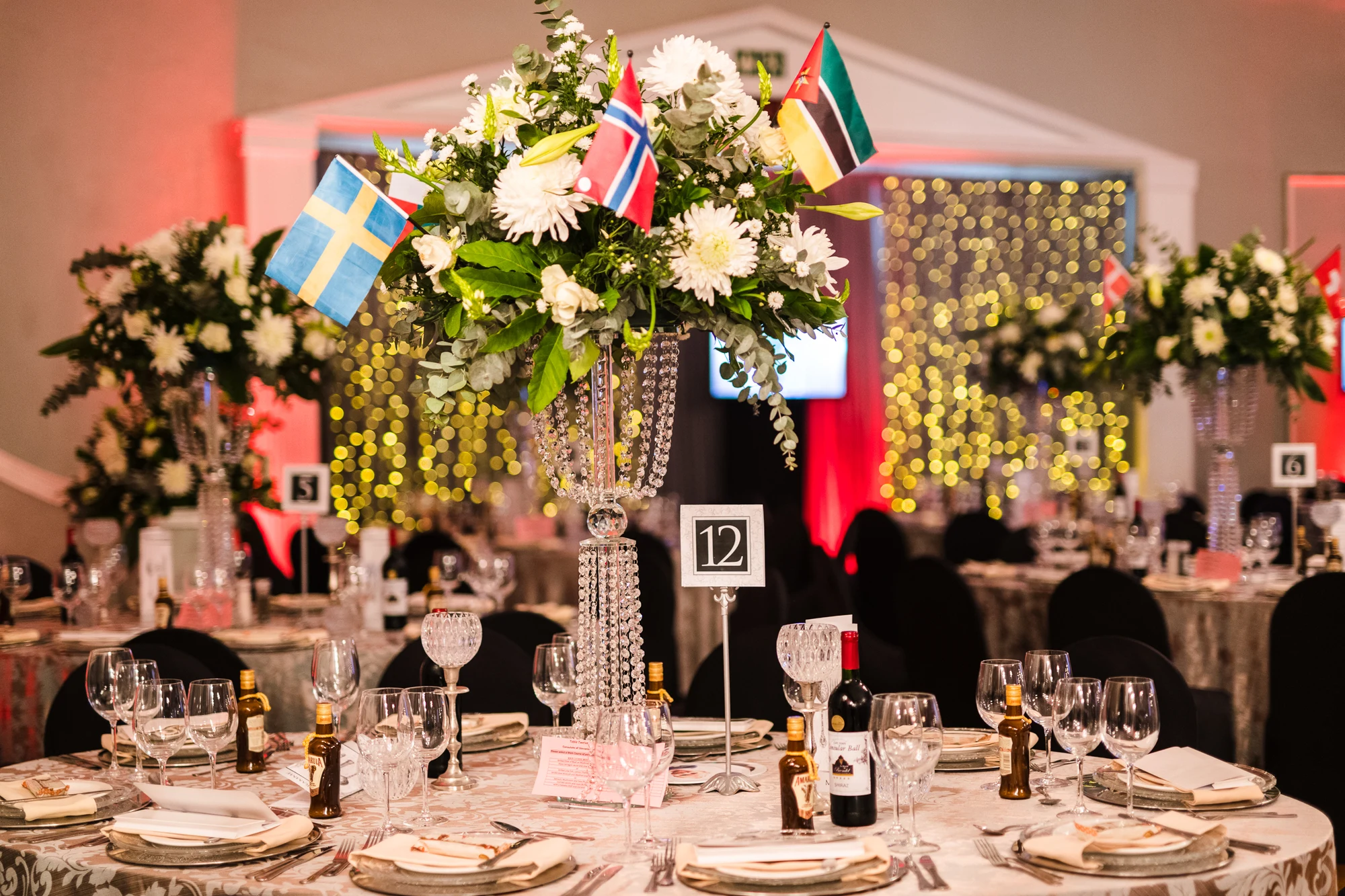 The 2018 Consular Ball — photo CB2018(lowres)-3